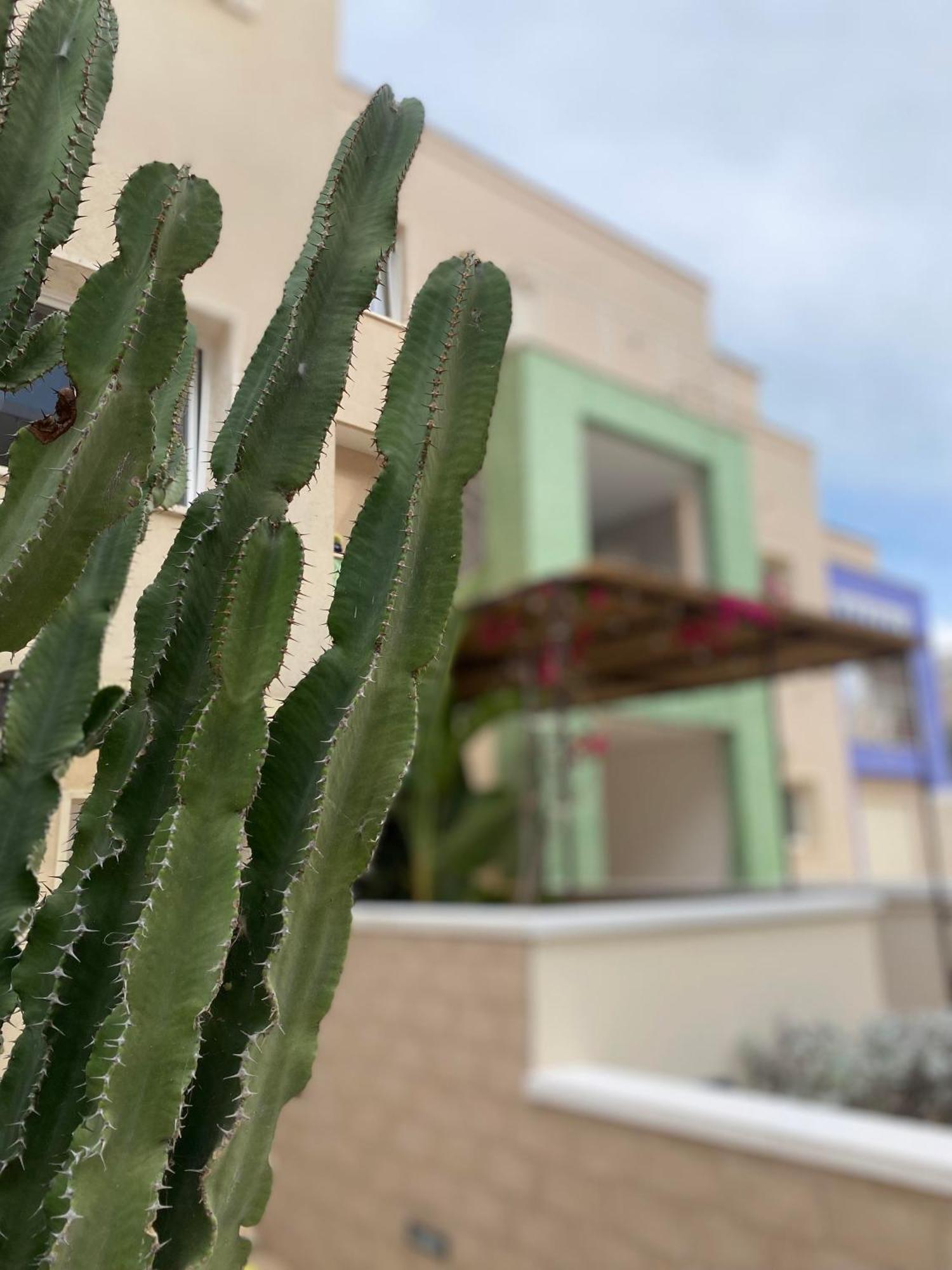 Bolina Luxury Suites Gallipoli Exterior foto